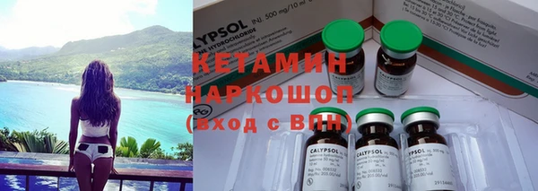 шишки Аркадак