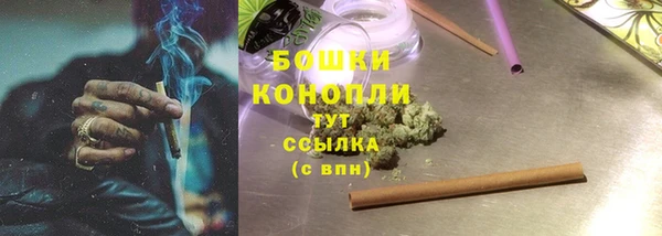 шишки Аркадак