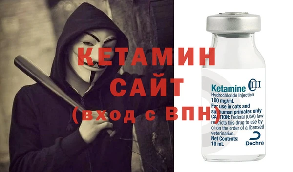 шишки Аркадак