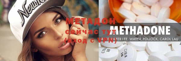 шишки Аркадак