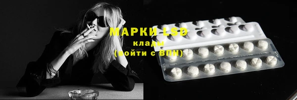 шишки Аркадак