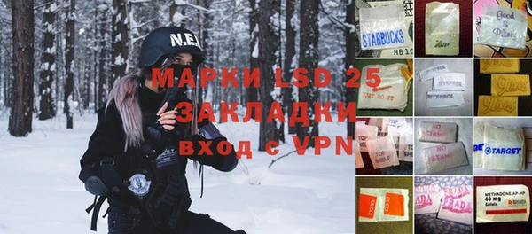 шишки Аркадак