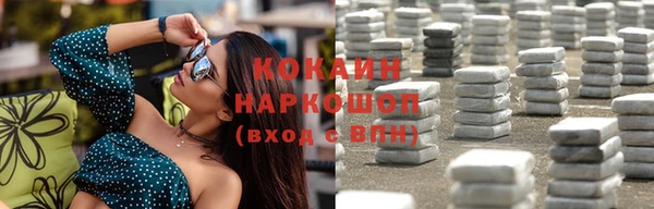 шишки Аркадак