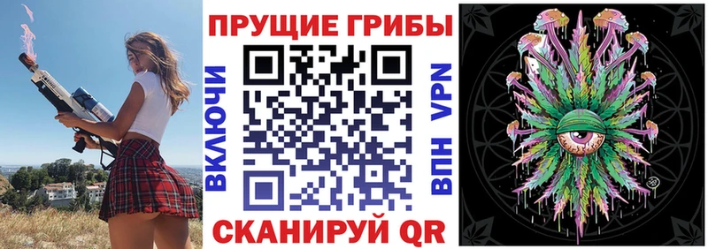 как найти закладки  Нязепетровск  ОМГ ОМГ ссылка  Галлюциногенные грибы Cubensis 